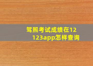 驾照考试成绩在12123app怎样查询