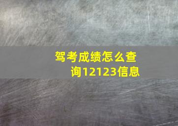 驾考成绩怎么查询12123信息