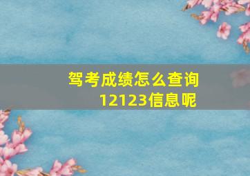 驾考成绩怎么查询12123信息呢