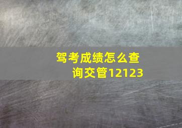 驾考成绩怎么查询交管12123