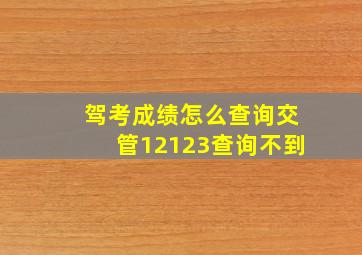 驾考成绩怎么查询交管12123查询不到