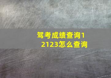 驾考成绩查询12123怎么查询