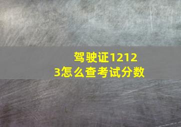 驾驶证12123怎么查考试分数