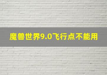 魔兽世界9.0飞行点不能用