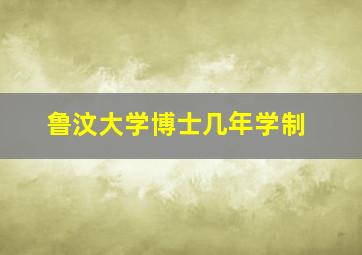 鲁汶大学博士几年学制