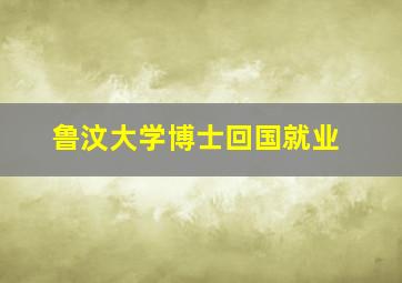 鲁汶大学博士回国就业