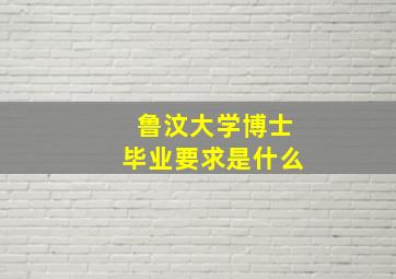 鲁汶大学博士毕业要求是什么