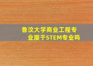 鲁汶大学商业工程专业屡于STEM专业吗