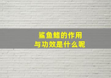 鲨鱼鳍的作用与功效是什么呢