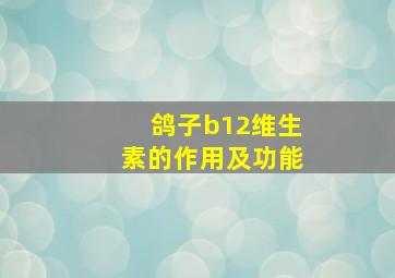 鸽子b12维生素的作用及功能