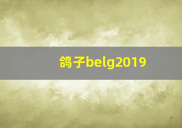 鸽子belg2019