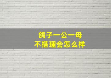 鸽子一公一母不搭理会怎么样