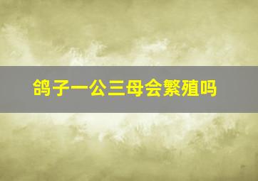 鸽子一公三母会繁殖吗