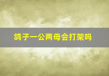 鸽子一公两母会打架吗