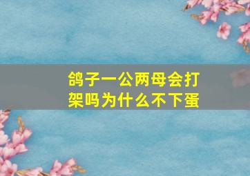 鸽子一公两母会打架吗为什么不下蛋