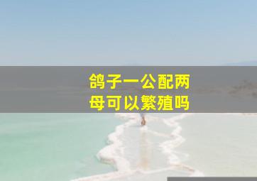 鸽子一公配两母可以繁殖吗