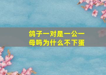 鸽子一对是一公一母吗为什么不下蛋