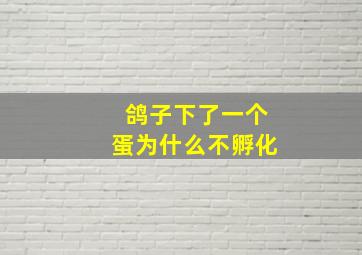 鸽子下了一个蛋为什么不孵化