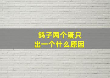 鸽子两个蛋只出一个什么原因