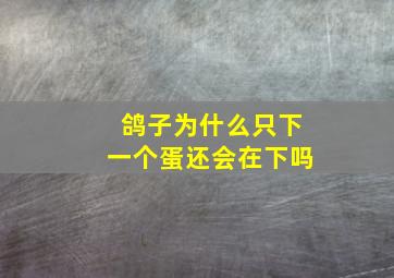 鸽子为什么只下一个蛋还会在下吗