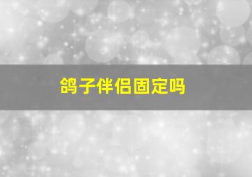 鸽子伴侣固定吗