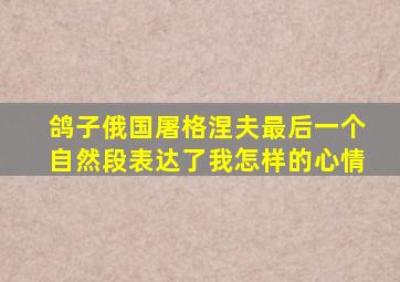 鸽子俄国屠格涅夫最后一个自然段表达了我怎样的心情