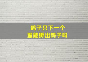 鸽子只下一个蛋能孵出鸽子吗