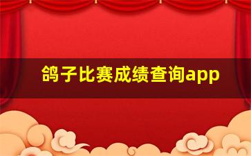 鸽子比赛成绩查询app