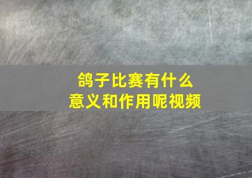 鸽子比赛有什么意义和作用呢视频