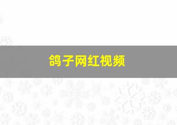 鸽子网红视频