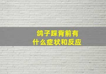 鸽子踩背前有什么症状和反应