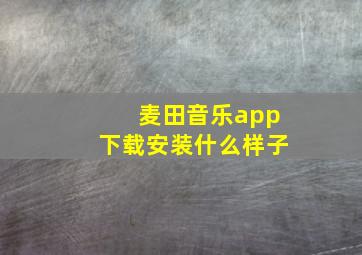 麦田音乐app下载安装什么样子