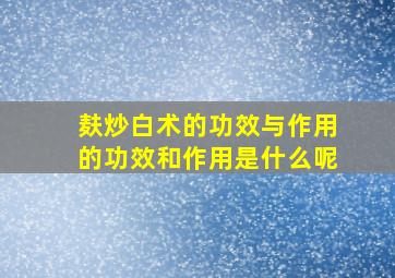 麸炒白术的功效与作用的功效和作用是什么呢