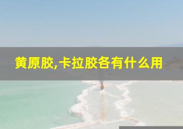 黄原胶,卡拉胶各有什么用