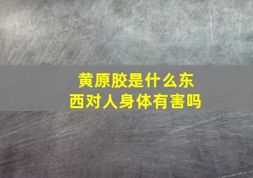 黄原胶是什么东西对人身体有害吗