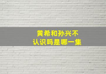 黄希和孙兴不认识吗是哪一集