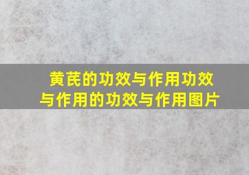 黄芪的功效与作用功效与作用的功效与作用图片