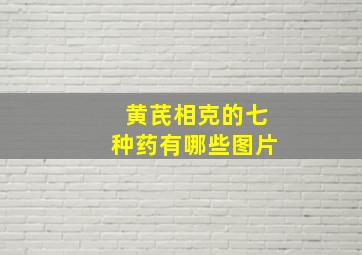 黄芪相克的七种药有哪些图片