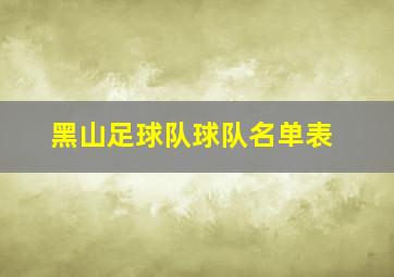 黑山足球队球队名单表