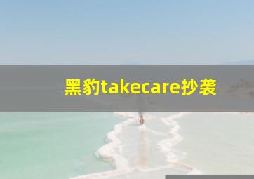 黑豹takecare抄袭