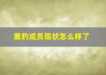 黑豹成员现状怎么样了