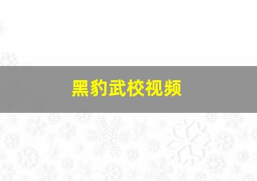 黑豹武校视频