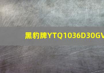 黑豹牌YTQ1036D30GV