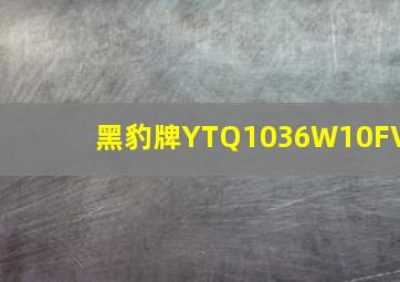 黑豹牌YTQ1036W10FV