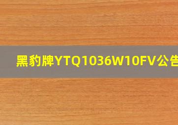 黑豹牌YTQ1036W10FV公告查询