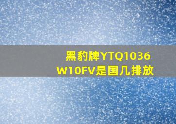 黑豹牌YTQ1036W10FV是国几排放