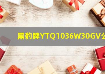 黑豹牌YTQ1036W30GV公告