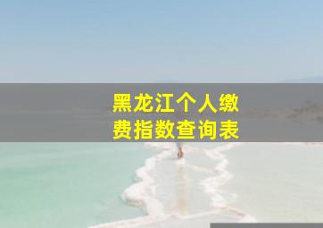 黑龙江个人缴费指数查询表