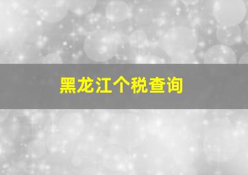 黑龙江个税查询