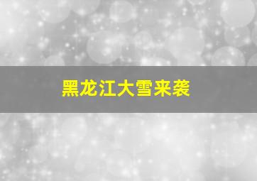 黑龙江大雪来袭